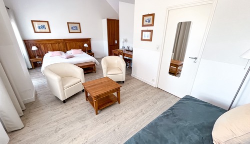 Suite junior, terraza, vistas al jardín