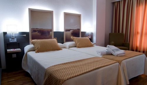 Habitación estándar con 1 cama doble o 2 individuales