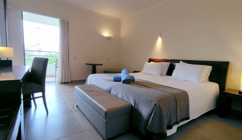 Habitación con 1 cama doble o 2 individuales, vistas al jardín