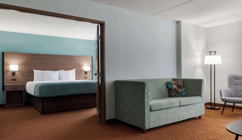 Suite Deluxe, 1 cama de matrimonio grande, no fumadores (One-Bedroom)