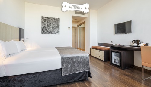 Habitación Doble Pet Friendly