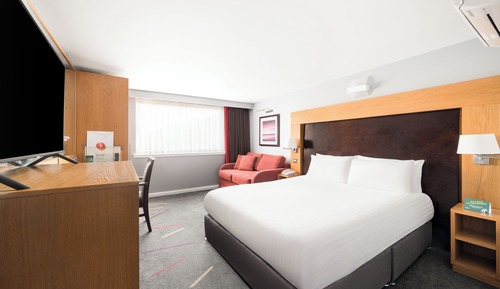 Suite, 1 cama de matrimonio grande con sofá cama