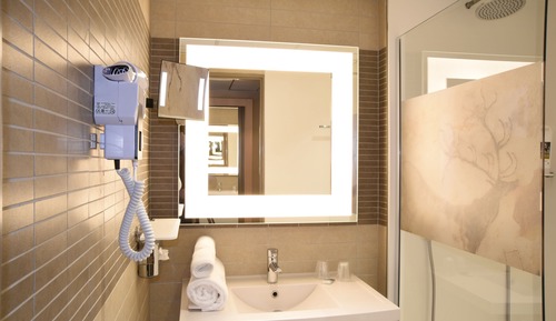 Habitación clásica con 2 camas individuales, 2 camas individuales (Shower)