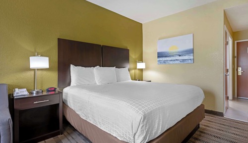 Habitación estándar, 1 cama de matrimonio grande, no fumadores, frigorífico y microondas