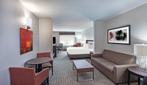 Suite, 1 cama de matrimonio grande con sofá cama