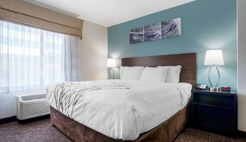 Suite, 1 cama de matrimonio grande con sofá cama, accesible para personas con discapacidad