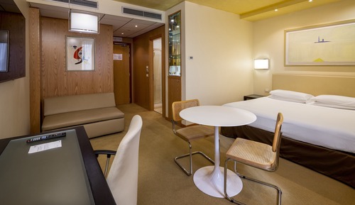 Habitación Premium, 1 cama de matrimonio grande