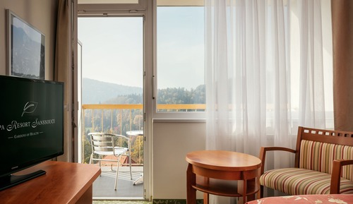 Habitación con 1 cama doble o 2 individuales, balcón, vistas a la ciudad (Wellness access)