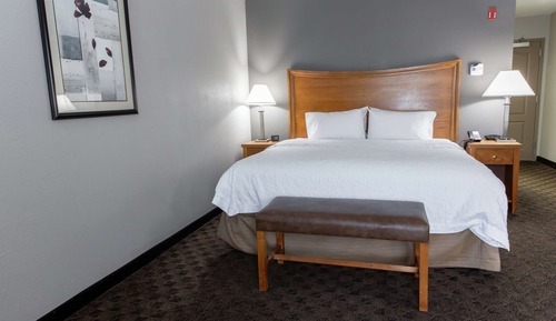 Suite estudio, 1 cama de matrimonio grande con sofá cama
