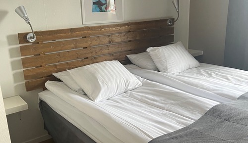 Habitación estándar doble, 1 habitación