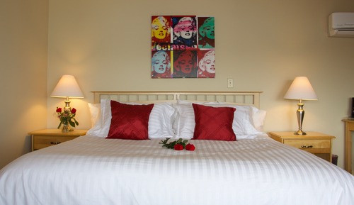 Habitación individual Premium, 1 cama de matrimonio grande, no fumadores