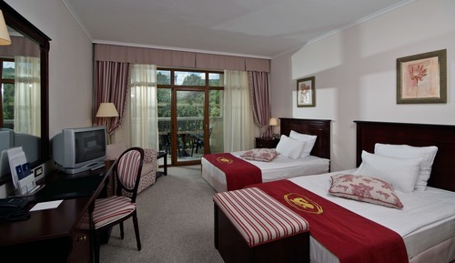 Habitación clásica, vistas al parque (Twin Beds)