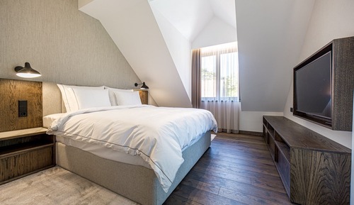 Deluxe Suite (Vandenis Building)