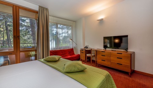 Habitación estándar doble (Luxury Building)