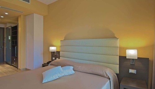 Habitación estándar con 1 cama doble o 2 individuales