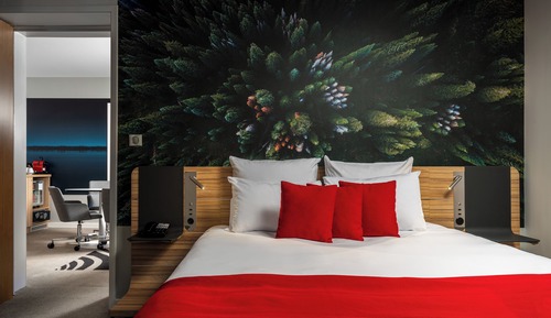 Suite junior, 1 cama doble