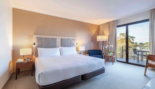 Suite Deluxe, 1 cama de matrimonio grande, vistas al lago