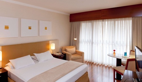 Suite ejecutiva, 1 cama de matrimonio grande