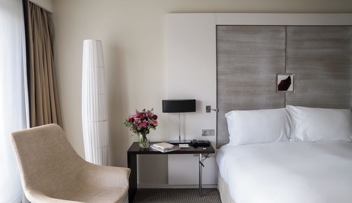 Habitación clásica, 1 cama de matrimonio grande