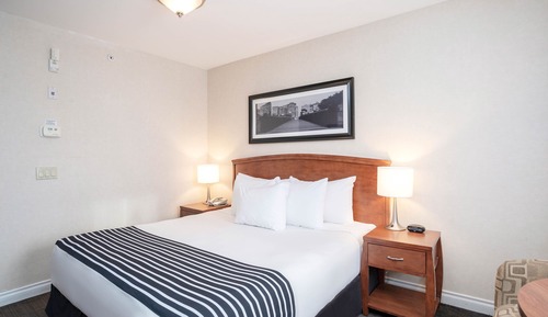 Habitación estándar, 1 cama de matrimonio grande