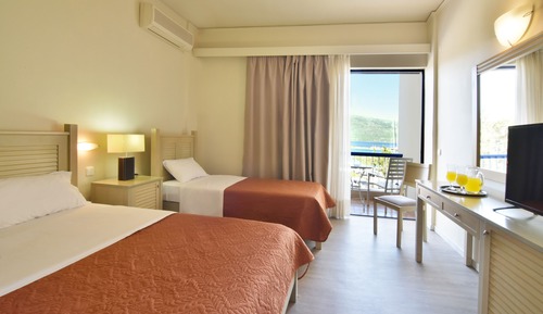 Habitación básica con 1 cama doble o 2 individuales