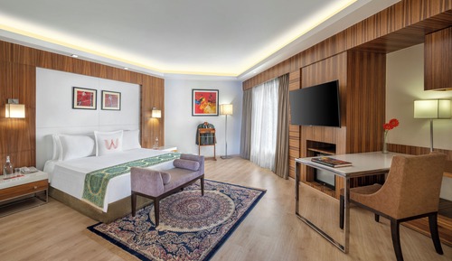 Suite, 1 cama de matrimonio grande, vistas al jardín (Presidential Suite)