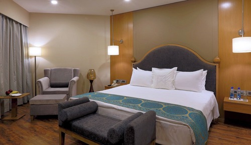 Suite, 1 cama de matrimonio, vistas al jardín (Deluxe Suite)