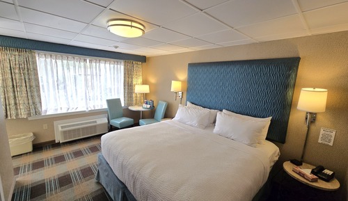 Habitación Premium, 1 cama de matrimonio grande