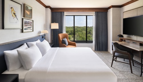 Suite, 1 habitación, vistas al río