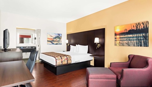Habitación estándar, 1 cama de matrimonio grande, no fumadores, frigorífico y microondas