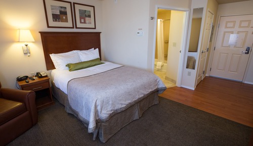 Suite, 1 habitación