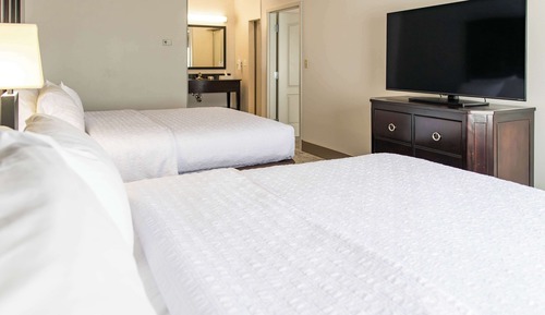 Suite, 2 camas de matrimonio, no fumadores