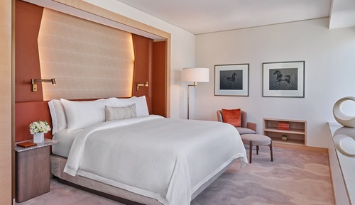 St Regis, Suite, 1 habitación