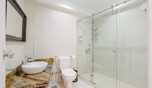 Suite ejecutiva, 1 habitación, vistas al río