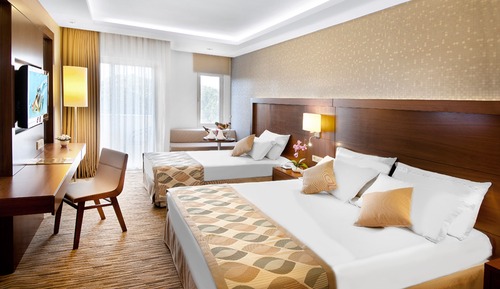 Habitación estándar, vistas al jardín