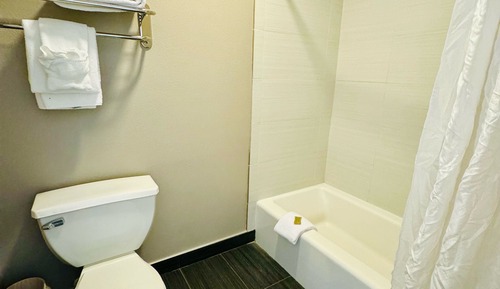Suite Deluxe, 1 cama de matrimonio grande, no fumadores, frigorífico y microondas