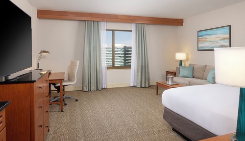 Suite, 1 cama de matrimonio grande