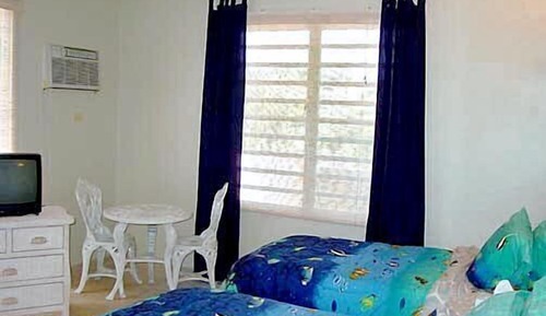 Habitación estándar con 2 camas individuales, 2 camas individuales