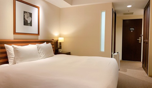 Habitación Premium, 1 cama de matrimonio grande, fumadores, vistas a la ciudad