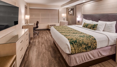 Habitación estándar, 1 cama de matrimonio grande, no fumadores, frigorífico y microondas