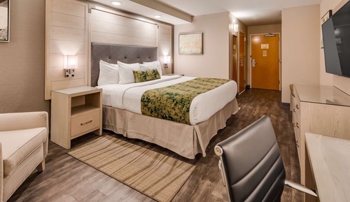 Habitación estándar, 1 cama de matrimonio grande, frigorífico y microondas