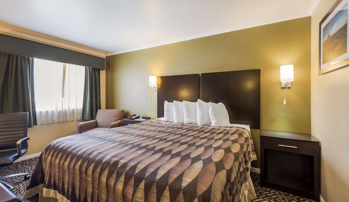 Habitación estándar, 1 cama de matrimonio grande, no fumadores, frigorífico