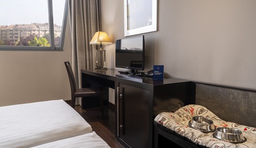 Habitación doble, varias camas