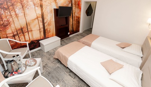 Habitación estándar con 2 camas individuales