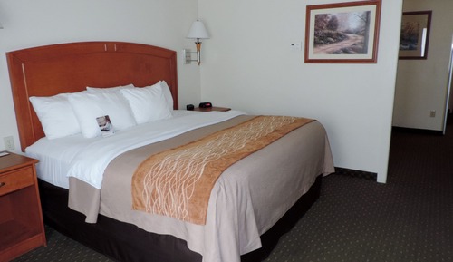 Habitación estándar, 1 cama de matrimonio grande, no fumadores