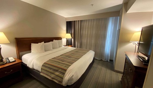 Suite estudio, 1 cama de matrimonio grande con sofá cama, no fumadores
