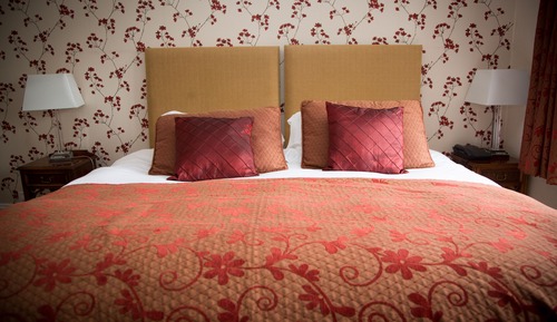 Habitación Premier con 1 cama doble o 2 individuales
