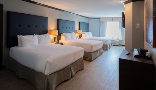 Suite, varias camas, no fumadores, bañera de hidromasaje (Walk-in Shower)