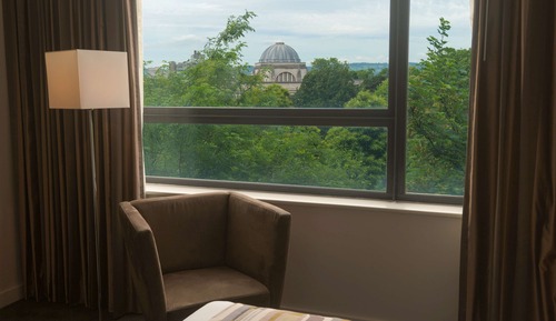 Habitación superior, 1 cama de matrimonio grande (Tree Line View)