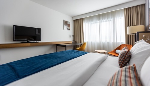 Habitación estándar, 1 cama de matrimonio grande